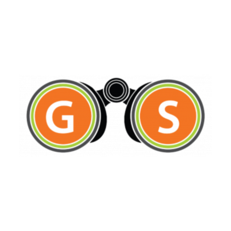 GENERATION SOLUTIONS